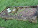 image of grave number 550101